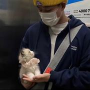 南风向北496的个人资料头像