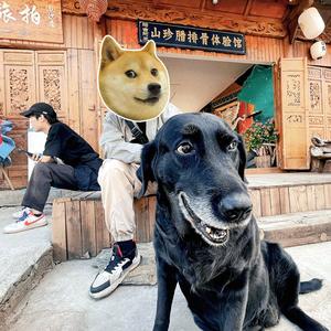 二狗的杂货铺头像