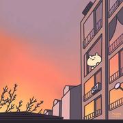 喜樂的个人资料头像