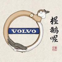 黑夜中的小沃头像