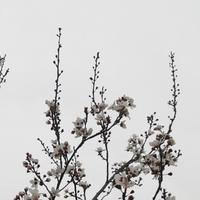 清闲的溪流JDU头像