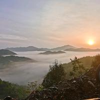 自在安达4r4头像