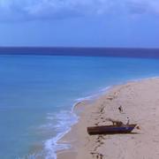 加拿大出海孵化TOM的个人资料头像