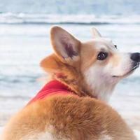 下壹秒回憶31125037头像