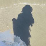 雨后彩虹40088头像