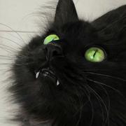 JunfengLiao廖俊峰的个人资料头像