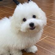 伤心猪大肠811的个人资料头像