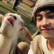 有点彭胀的个人资料头像