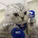 风清阎头像
