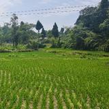 幺八零哥哥头像