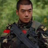 天蓝树绿色艳鲜头像