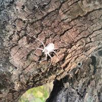 用户1789659088957879头像