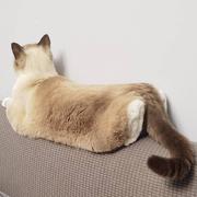 安逸602的个人资料头像