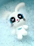 代码看兔了的个人资料头像