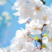 水墨123的个人资料头像