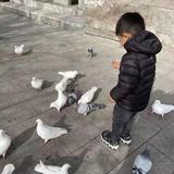 随性自由的微风wIo头像