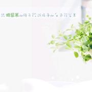 云莫的个人资料头像