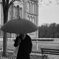 分秒必争小猫z5头像