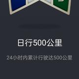 胡囸阳头像