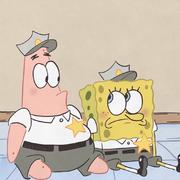 望水眺土的个人资料头像