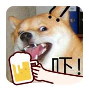 知探小喵的个人资料头像