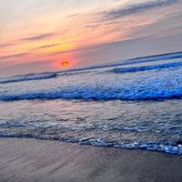 迷糊的铁牛头像