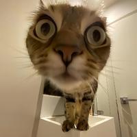 用户333826101630头像