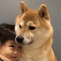 用户9304330804531头像