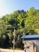 且醉歌行的个人资料头像