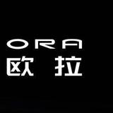 信阳鼎和欧拉汽车销售头像