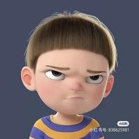 随性自由的山雀jn头像