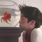 没有光了的个人资料头像