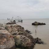 安好57072头像
