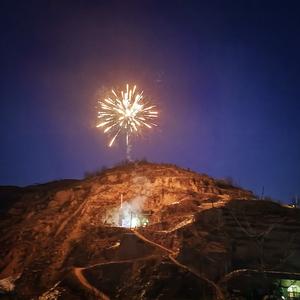 在林中捉蝉的捕蝉手头像