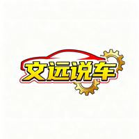 文远说车头像