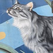 青宁的个人资料头像