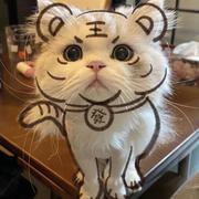 strive788的个人资料头像