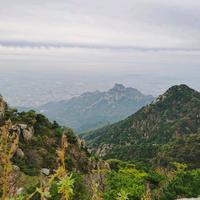 用户7135800619634头像