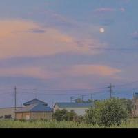 用户7244247731775头像