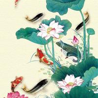 自由的鱼42543771头像