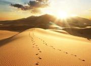 DustinChen的个人资料头像