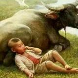 黑暗得黎明头像