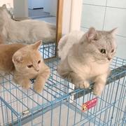 一心_920的个人资料头像