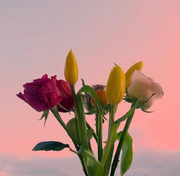 Andy南方姑娘的个人资料头像