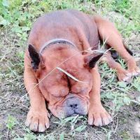 无欲无求12366头像