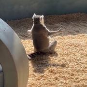 爱码士125的个人资料头像