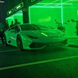 乐观的原野iLA头像