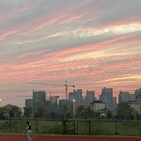 5519617907石上流头像