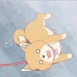 用户7298442905028头像