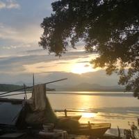 正能量Michael头像